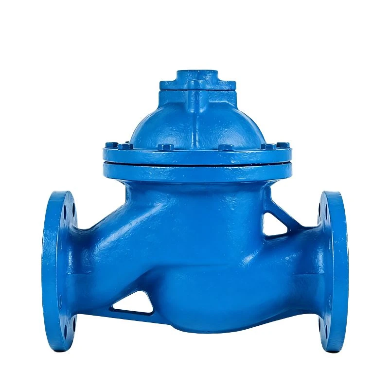 Pumpenventile